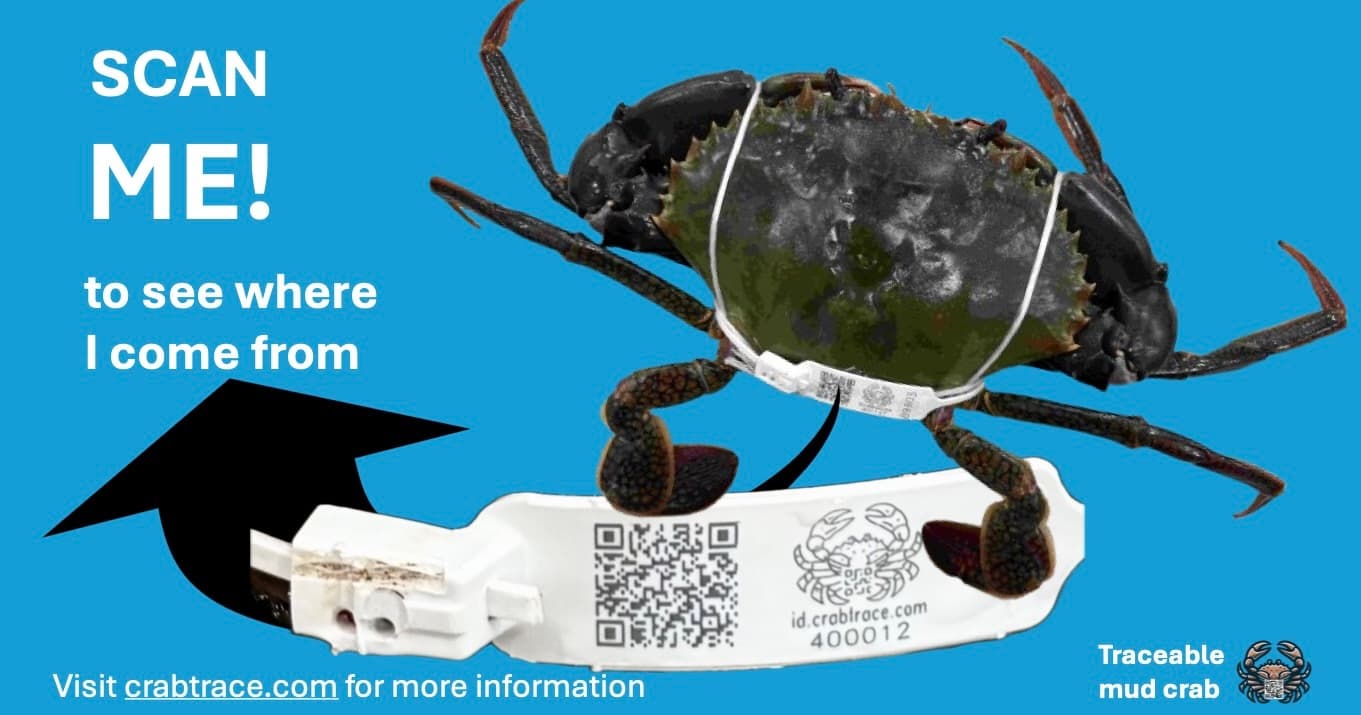 CrabTrace tag page preview